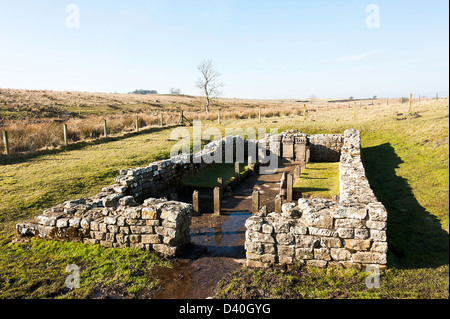 Der römische Tempel des Mithras mit Replica Stein Altäre an Brocolitia Hadrian Wand in der Nähe von Chollerford Northumberland, England Stockfoto