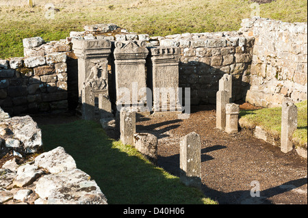 Der römische Tempel des Mithras mit Replica Stein Altäre an Brocolitia Hadrian Wand in der Nähe von Chollerford Northumberland, England Stockfoto