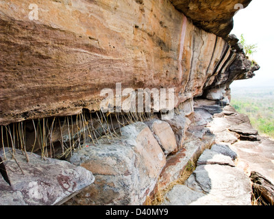 Pha Taem Nationalpark in der Provinz Ubon Ratchathani, Thailand Stockfoto