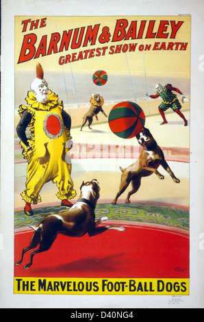 Die wunderbare Foot-Ball-Hunde des Barnum und Bailey Zirkus Stockfoto