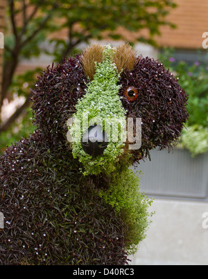 Riesiger Hund floralen Skulpturen in Botanical Garden-Montreal Stockfoto