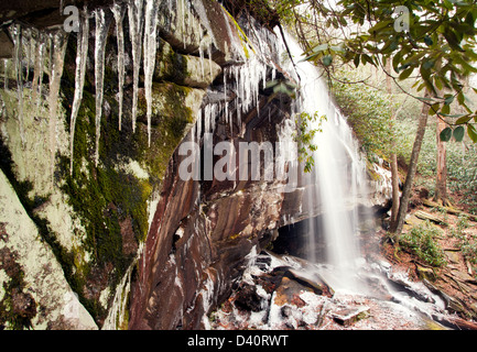 Slick-Steinschlag - Pisgah National Forest - nahe Brevard, North Carolina USA Stockfoto