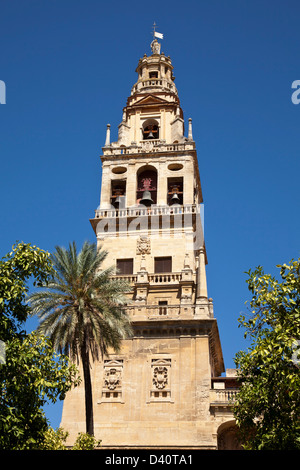 Glockenturm der Mezquita, Moschee-Kathedrale von Córdoba Stockfoto