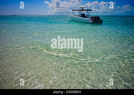 Nehmen Sie eine lustige Fahrt heraus in den Exumas Land und Meer Park, Bahamas; ein gut erhaltenes marine Park inmitten einer üppigen tropischen Paradies Stockfoto