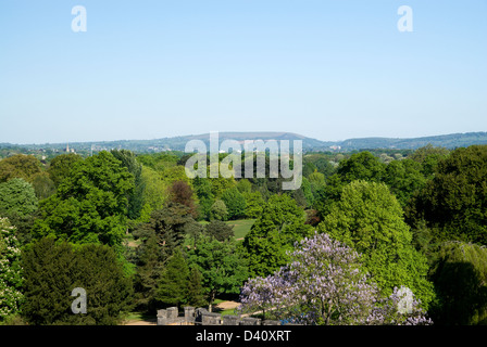 Bute Park von Schloss halten Wales Großbritannien Stockfoto