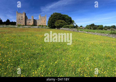 Blick über die Blumenwiese, Schloss Bolton Castle; Wensleydale; Yorkshire Dales National Park, England, Vereinigtes Königreich Stockfoto