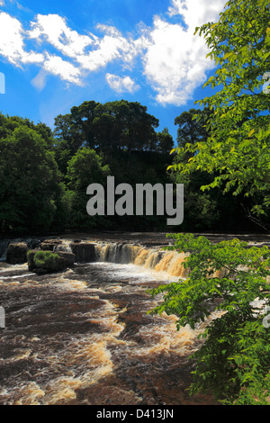 Sommer, River Ure; Aysgarth Falls; Wensleydale; Yorkshire Dales National Park, North Yorkshire, England, Vereinigtes Königreich Stockfoto