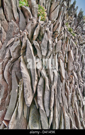 versteinerten Felsen auf den Klippen zwischen Arnarstapi und Hellnar in Snaefellsnes, West Island Stockfoto