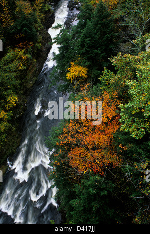 Bunte Bäume im Herbst Luftaufnahme von Quechee Gorge, Ottauquechee Fluß in Quechee State Park in Hartford in Vermont, New England FS 15,73, 300 ppi Stockfoto