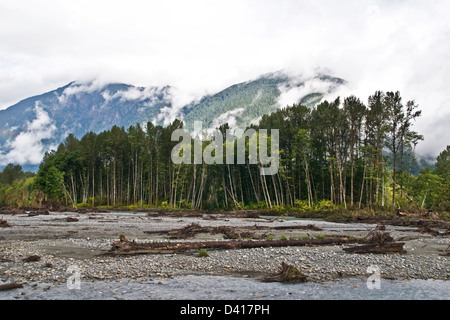 Die nebligen Bergwildnis des Great Bear Rainforest an den Ufern des Flusses Bella Coola, bei Bella Coola, Canada. Stockfoto