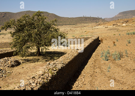 Der Palast der Königin von Saba in Axum Äthiopien Afrika Dungur Stockfoto