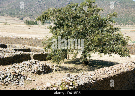 Der Palast der Königin von Saba in Axum Äthiopien Afrika Dungur Stockfoto