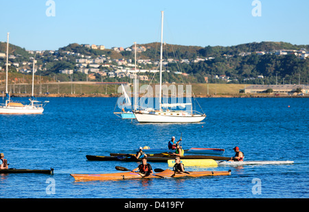 Ocean-Kajaks und ankern Yachten bei Evans Bucht in Wellington Harbour Stockfoto