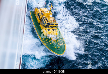 Sydney-Pilot Boat, Governor Bligh, neben Kreuzfahrtschiff Stockfoto