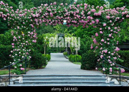 Stieg der Laube und Pfad, Longwood Gardens, Kennet Square, Pennsylvania Stockfoto