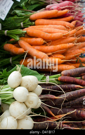 Bio-Karotten, Rüben und weiße Radieschen auf einem Bauernmarkt, Common Ground Fair, Einheit, Maine Stockfoto