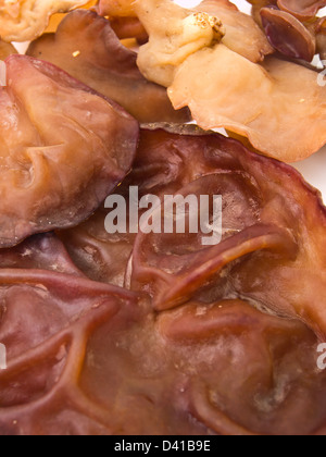 Nahaufnahme des Auricularia Auricula als Hintergrund Stockfoto