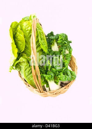 Frische Baby Bok Choy und Lattich Salat in Rattan Korb auf weißem Hintergrund isoliert Stockfoto