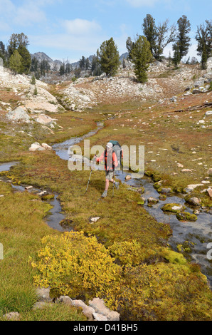 Frau auf einer Wiese auf einem Rucksack Reise in Oregon Wallowa Mountains wandern. Stockfoto
