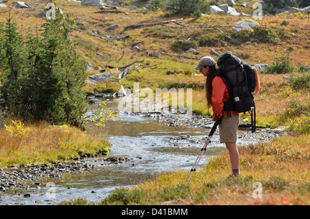 Frau anzustarren Gebirgsbach Rucksack unterwegs in Oregon Wallowa Mountains. Stockfoto