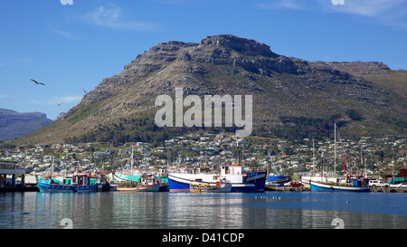 Angelboote/Fischerboote im Hafen von Hout Bay, in der Nähe von Cape Town, Südafrika. Stockfoto