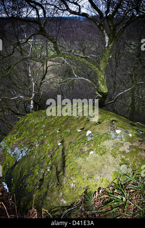 Prähistorische Felszeichnungen auf Rowtor Felsen, Birchover, Derbyshire, UK Stockfoto