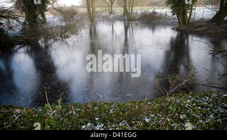 Eis, bilden auf der Oberfläche der Teich in kaltes Winterwetter, Sutton, Suffolk, England Stockfoto