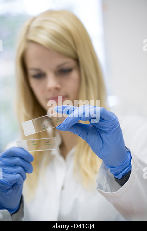 junge blonde Wissenschaftlerin arbeitet im Labor Stockfoto