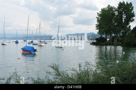 Boote und berühmten Brunnen in Genfer See Zürich Schweiz Stockfoto