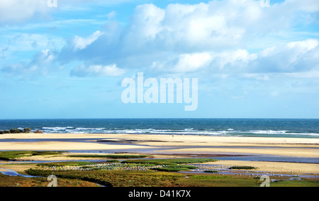 Landschaft der Ria Formosa, Algarve Stockfoto