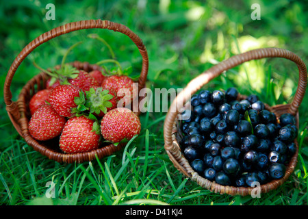 Zwei Körbe - Erdbeeren und Heidelbeeren Stockfoto