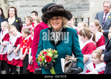 Herzogin von Cornwall, Camilla Parker Bowles St Davids Day Service in Cardiff Wales. Stockfoto