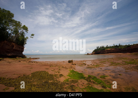 Burncoat Kopf in der Bay Of Fundy, Nova Scotia, Kanada Stockfoto