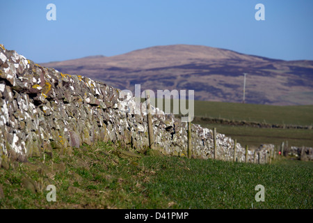 Trockenmauern in Schottland bekannt als trockener Stane Deiche, ohne Verwendung von Beton oder Zement gebaut. Ringmauer an der Westküste. Stockfoto