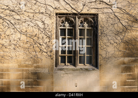 Reich verzierte Fenster des Oxford College Oxford England UK Stockfoto