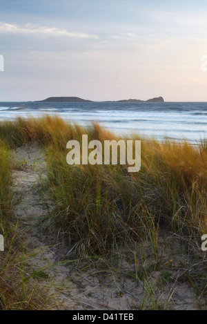 Düne Gräser in warmes goldenes Licht getaucht, mit Würmern Kopf in der Ferne, Rhosilli Bucht, Gower, South Wales Stockfoto