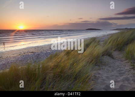 Düne Gräser in warmes goldenes Licht getaucht, mit begraben Holmes in der Ferne, Rhosilli Bucht, Gower, South Wales Stockfoto