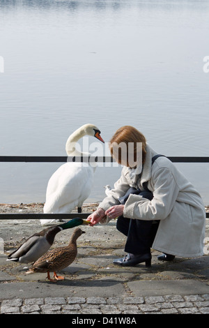 Berlin, Deutschland, eine Frau, die Fütterung der Enten am Tegeler See Stockfoto