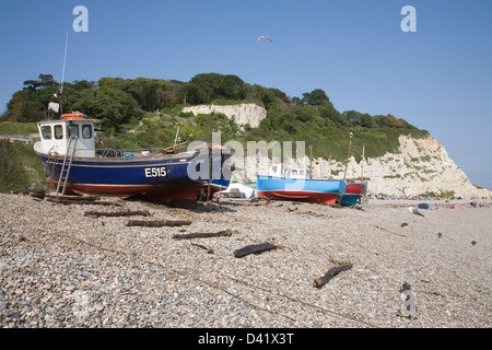 Angelboote/Fischerboote und Holzrollen an Bier Strand in Devon. Stockfoto