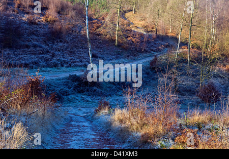 Frühe Frost erste Anzeichen des Winters auf der Cannock Chase Bereich der herausragende natürliche Schönheit im späten Herbst Staffordshire Stockfoto