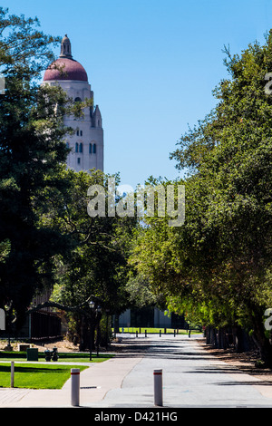 Hoover-Turm an der Stanford University Stockfoto