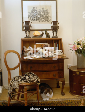 Gemusterte Wurf auf Ballon-Back Stuhl neben kleinen Büro mit ethnischen Statuen in Studie mit Katze sitzt unter Schreibtisch Stockfoto