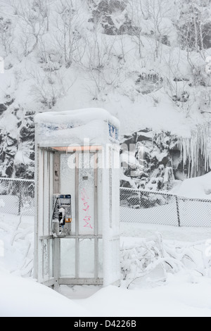 Bell-Telefonzelle im Schnee bedeckt Mont Royal Park im Winter, Parc du Mont-Royal, Montreal, Quebec, Kanada Stockfoto