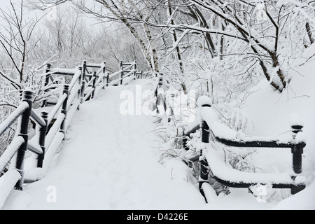 Schnee bedeckt die Treppen des Mont Royal Park im Winter, Parc du Mont-Royal, Montreal, Quebec, Kanada Stockfoto