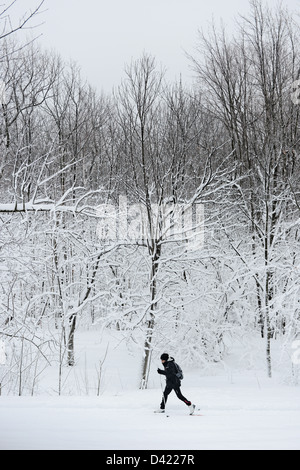 Frau Kreuz-Crountry Skifahren im Schnee bedeckt Mont Royal Park im Winter, Parc du Mont-Royal, Montreal, Quebec, Kanada Stockfoto