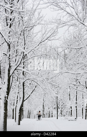 Frau Kreuz-Crountry Skifahren im Schnee bedeckt Mont Royal Park im Winter, Parc du Mont-Royal, Montreal, Quebec, Kanada Stockfoto