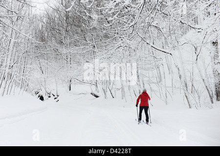 Frau Kreuz-Crountry Skifahren im Schnee bedeckt Mont Royal Park im Winter, Parc du Mont-Royal, Montreal, Quebec, Kanada Stockfoto