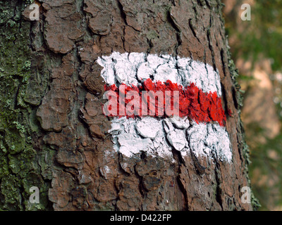 Weißen und roten Streifen Trail Zeichen auf Rinde gemalt Stockfoto