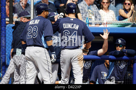 1. März 2013 - Dunedin, Florida, USA - wird VRAGOVIC | Zeiten. Der Strahlen Shelley Duncan wird von Manager Joe Maddon, links, und Teamkollegen nach einen Home Run während der Frühlings-Training-Spiel zwischen den Tampa Bay Rays und der Toronto Blue Jays in Florida Auto Exchange Stadium in Dunedin, Florida auf Freitag, 1. März 2013 gratulierte. Die Strahlen verlor 5: 4 für die Blue Jays zu verlieren. (Kredit-Bild: © Willen Vragovic/Tampa Bay Times/ZUMAPRESS.com) Stockfoto