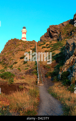 Steile Holztreppe führt zum Leuchtturm von Cape Palliser in South Wairarapa Stockfoto